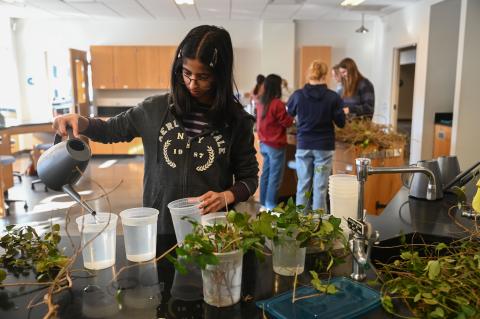 Students participate in the Plant Library.