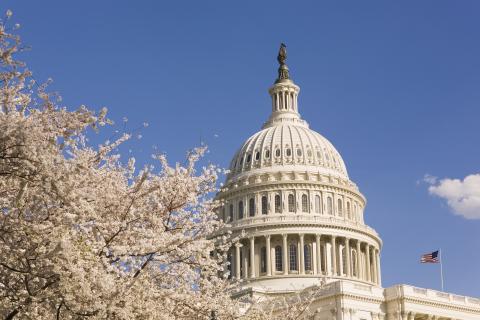 US-Capital-with-Cherry-Blossoms.jpg