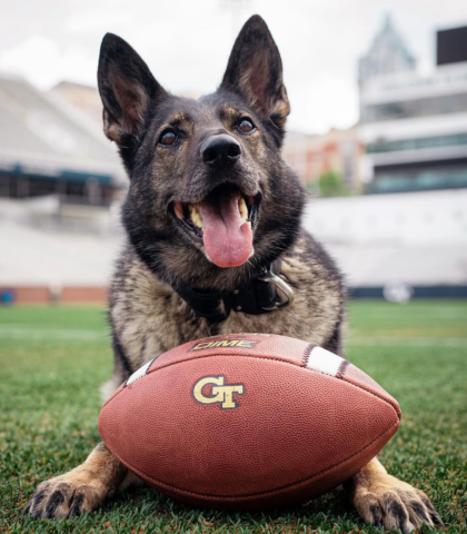 Pepper Poses with Georgia Tech football