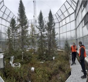 Postdoctoral Researchers Caitlin Petro and Borja Aldeguer-Riquelme inside a SPRUCE chamber in 2023. Postdoctoral Researchers Caitlin Petro and Borja Aldeguer-Riquelme inside a SPRUCE chamber in 2023.