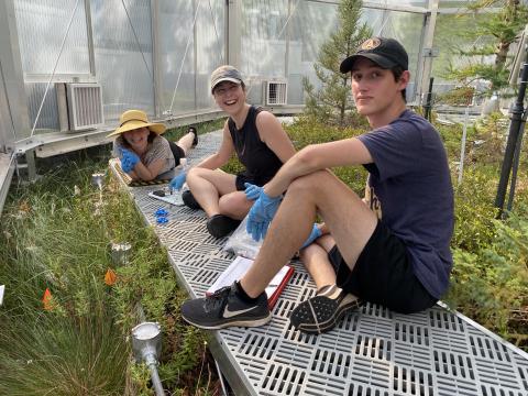 Postdoctoral Researcher Caitlin Petro, Ph.D. student Katherine Duchesneau, and undergraduate student Sekou Noble-Kuchera in a SPRUCE chamber. Postdoctoral Researcher Caitlin Petro, Ph.D. student Katherine Duchesneau, and undergraduate student Sekou Noble-Kuchera in a SPRUCE chamber.
