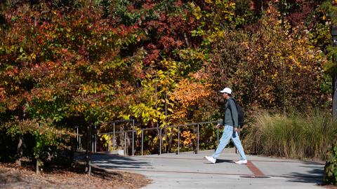 Fall on Campus