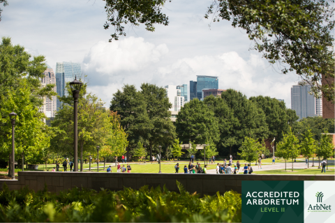 GT-Arboretum--1-.png