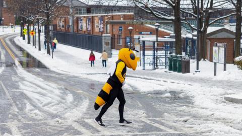 Buzz Walks on Campus With Ice and Snow
